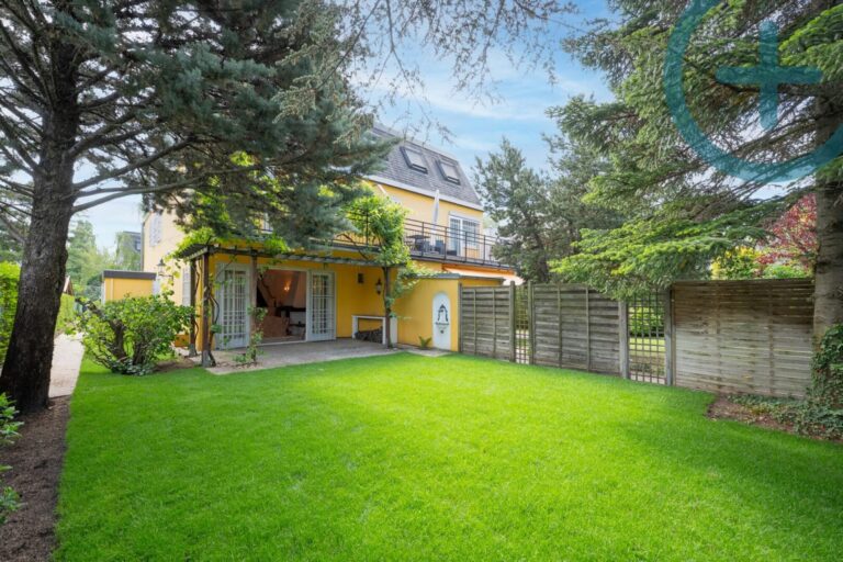 Garten hinten