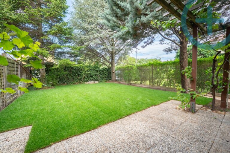 Garten hinten